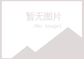 日照岚山骤变能源有限公司